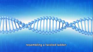 Learn about the Intriguing World of DNA [upl. by Drescher]