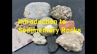 Rock Identification with Willsey Intro to Sedimentary Rocks [upl. by Nayd]