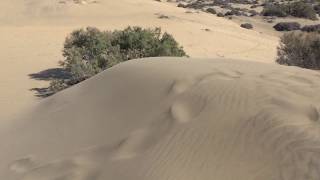 Maspalomas sand dunes 1  Gran Canaria Nov 2018 [upl. by Alyahc813]