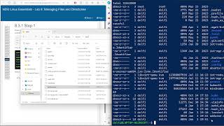 Linux Essentials  Lab 8 Managing Files and Directories [upl. by Stempien924]