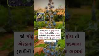 Castor Oil Benefits  How to use castor oil  દિવેલના ફાયદા healthtips viralshort viralreels [upl. by Austreng]