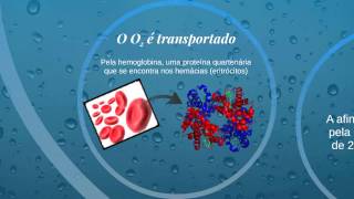 O perigo do monóxido de carbono para a saúde [upl. by Hermon]