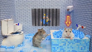 Hamster Escapes Prison Maze 🛑Live Stream [upl. by Romola815]