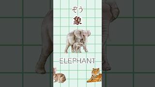 Basic Japanese  Animal Names [upl. by Dobrinsky]