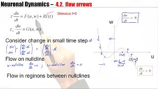 CNS42  Phase Plane Analysis [upl. by Luebke634]