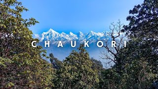 Chaukori Uttarakhand Vlog Places to visit in Chaukori  Met RJRaunac on the Way [upl. by Enilrahc]