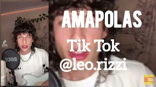 AMAPOLAS  Tik Tok  leorizzi [upl. by Hurlow]