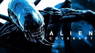 Alien Covenant  David amp Xenomorph Edit [upl. by Myers632]