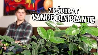 7 Måder at Vande din Plante [upl. by Cowen]