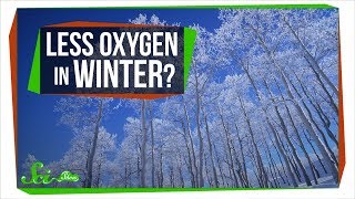 Is There Less Oxygen in the Winter Since Its Colder [upl. by Allenaj326]