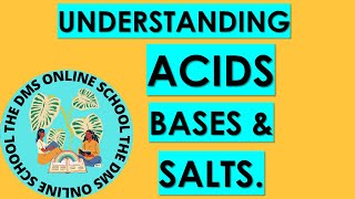 Summarized lesson on acids bases and salts [upl. by Siderf]