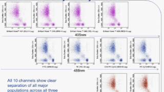 Simplified Benchtop Multicolor Flow Cytometry for Immune and Cancer Cell Analyses [upl. by Jarrow917]