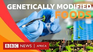 What is genetically modified food  BBC Whats New [upl. by Viens]