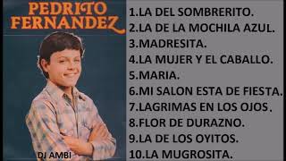 Pedro Fernández SUS MEJORES CANCIONES MIX DE EXITOS ROMANTICOS [upl. by Danell]