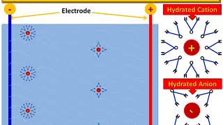 Electrophoretic Effect [upl. by Analise]