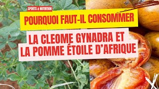 POURQUOI FAUTIL MANGER AZONGOGWE OU CONSOMMER LA CLEOME GYNADRA  SPORTS amp NUTRITION [upl. by Vani]