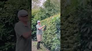 Hedge Trimming makita gardening hedges [upl. by Htiduj]