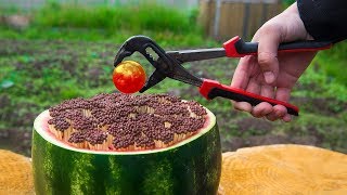 EXPERIMENT Glowing 1000 Degree BALL VS 10000 MATCHES VS WATERMELON [upl. by Lainahtan]