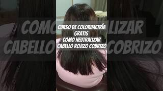 CURSO DE COLORIMETRÍA como neutralizar cabello rojizo [upl. by Mccowyn879]