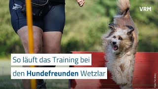 Hundefreunde Wetzlar Wo Hund und Mensch gemein trainieren [upl. by Ailemor]