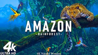 FLYING OVER AMAZON 4K UHD  Relaxing Music Along With Beautiful Nature Videos  4K Video HD [upl. by Adnalu]