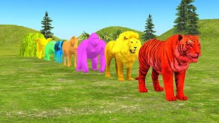 Long Slide Game With Elephant Gorilla Buffalo Hippopotamus Tiger  3d Animal Game  Funny 3d Animals [upl. by Clapper849]