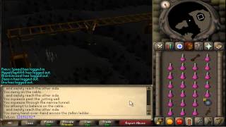 DorgeshKaan Agility Course  Getting Started Guide [upl. by Anital727]