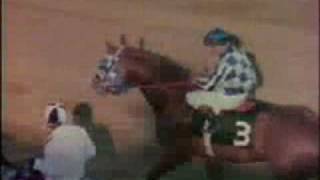 SECRETARIAT  1973 Preakness Stakes Recap [upl. by Corilla51]