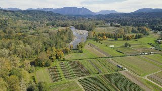 King County’s largestever floodplain restoration project [upl. by Kcirdez]