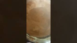 chai 🍵 subscribe my channel everyday new food [upl. by Nnayr]