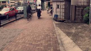 iPhone 7 x ulanzi 133 Anamorphic Lens Adopter  Daytime Test [upl. by Onitsuj987]