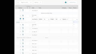 How Employees Can Submit Electronic Timesheets [upl. by Alphonso870]