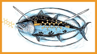 Tetrodotoxin vs Ciguatoxin vs Scombroid Poisoning [upl. by Aicul]