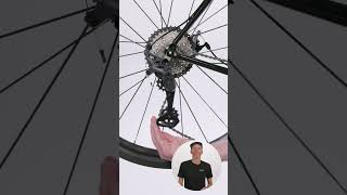 Whats the difference between the pulleys on your derailleur [upl. by Ralph]