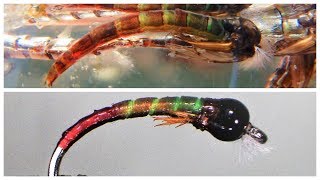 TSP  Tony Stark Pupa Chironomid Fly [upl. by Airdnala974]