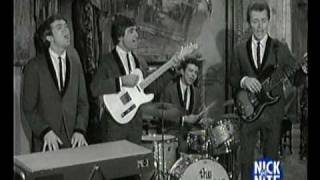 The standells  I wanna hold your hand [upl. by Mickey]