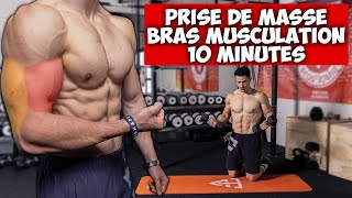 Prise de masse bras biceps triceps musculation programme [upl. by Anastasius598]