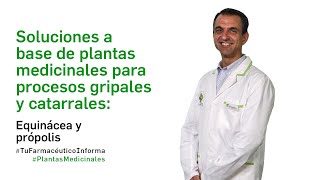 Soluciones plantas medicinales para procesos gripales y catarrales PlantasMedicinales [upl. by Sucrad654]