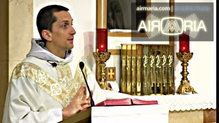 The Challenge of St Romuald  Jun 19  Homily  Fr Matthias [upl. by Ailene966]