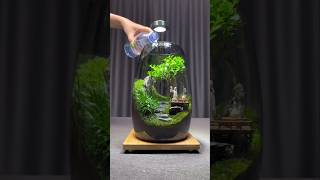 Aquarium of plants 🌱 shortsvideo [upl. by Blondy]