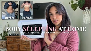 Getting Rid of Stubborn Lower Belly Fat AT HOME Body Contouring Review  Results [upl. by Sucramel]