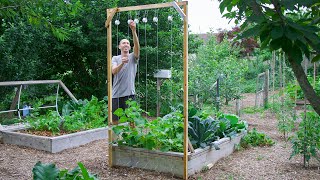 How to Build a Cucumber Trellis Using Only ONE PIECE of WOOD CHEAP and EASY Backyard Gardening [upl. by Catherine]