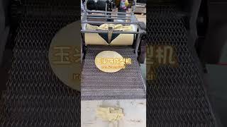 Tortilla moulding machine [upl. by Ymot]