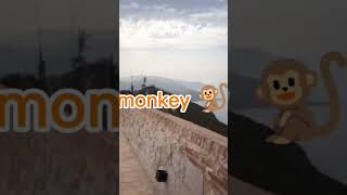 Gouraya Fort  Béjaïa  حصن قوراية ، بجاية anglais summer travel entertainment le [upl. by Annyrb]