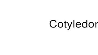 How to pronounce Cotyledonary [upl. by Milon300]