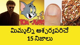 Top 15 Unknown Facts in Telugu Interesting and Amazing Facts  Part 173  Minute Stuff [upl. by Refotsirc]