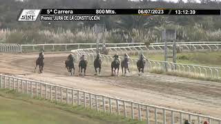 06072023 – Hipodromo Colonia – Carr 5 – JURA DE LA CONSTITUCIÓN [upl. by Call638]