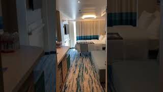 Carnival Mardi Gras Extended Balcony Stateroom Cabin 10423 [upl. by Obocaj]