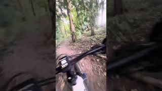 Broughton hall mountain bike track [upl. by Foulk]