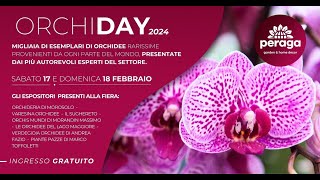 VIDEO MOSTRA oggi Edmondo è a ORCHIDAY al PeragaGarden e Orchideria è chiusa fino a domenica [upl. by Remington]